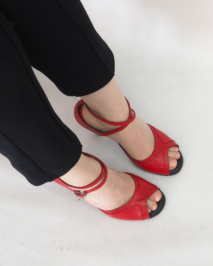 Aydilge 100% Leather Handmade Women's Tango Dance Shoes