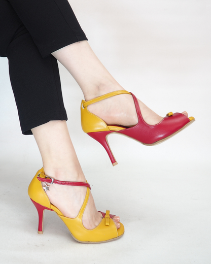 Aria 100% Leather Handmade Tango Dance Shoes
